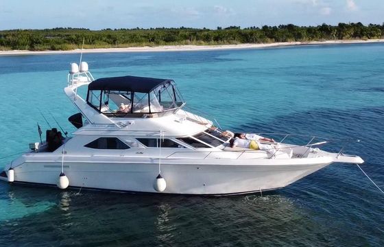 Sea Ray Express Bridge 440