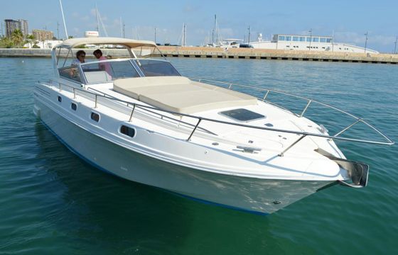 Fiart FIART 36 GENIUS