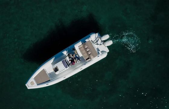 Viper 10m
