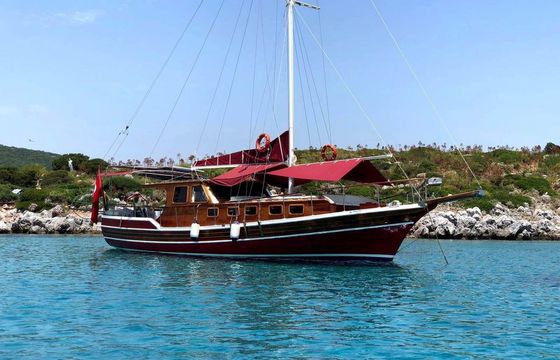 Gulet 46