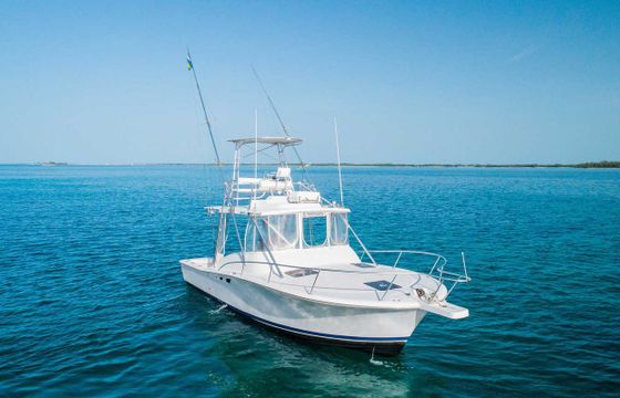 Luhrs Luhrs