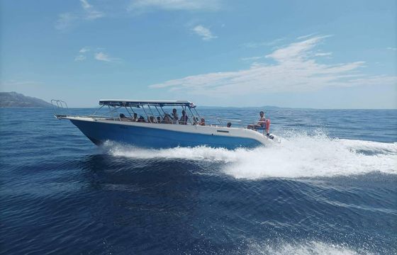 Speedboat Enzo