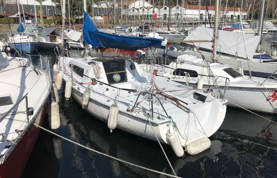 Achambault Surprise 25