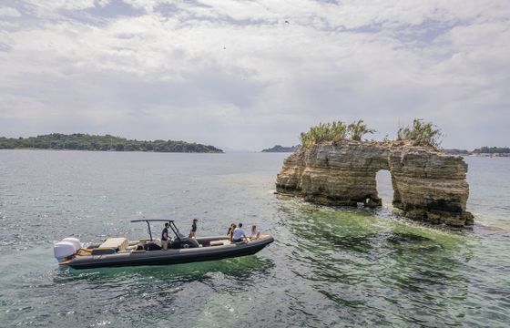 Viper Rib