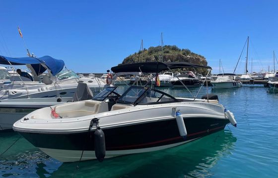 Bayliner VR5