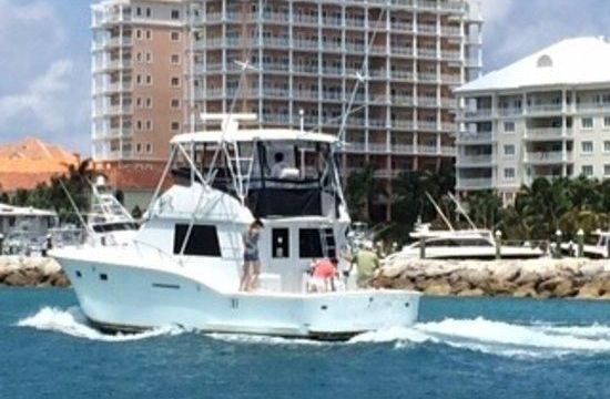 Hatteras Convertible