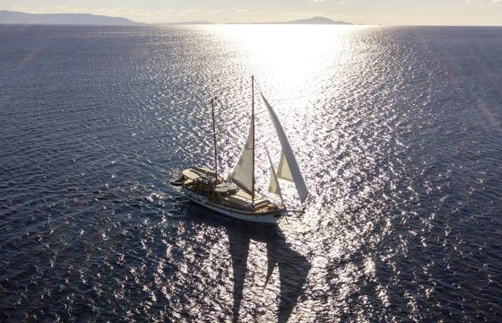 M/S schooner