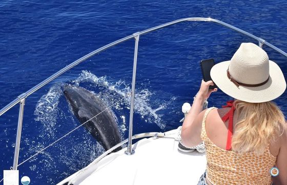 Bayliner Ciera 2355