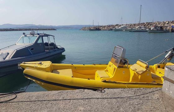 Minoan Dolfin 8.50 Open