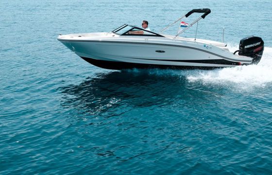 Sea Ray SPX 210 OB