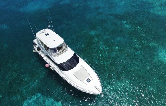 Sea Ray 58