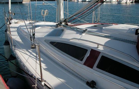 Delphia 40
