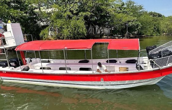 Eduardono Bt320