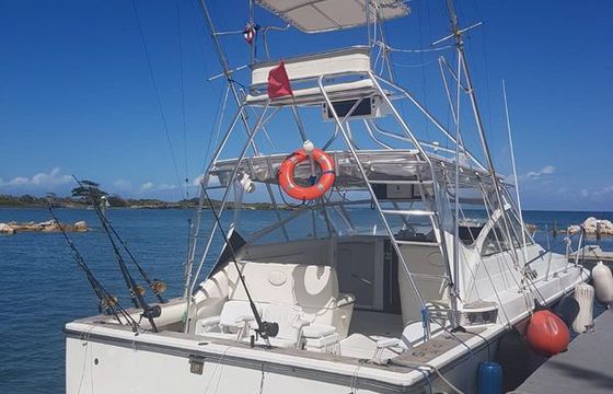 Trojan Yachts Open fishing