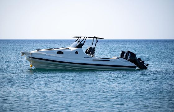 Bell Marine Apache 26 Cabin