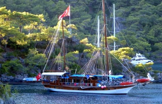 Gulet 79