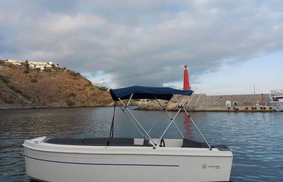 Bayliner 490+