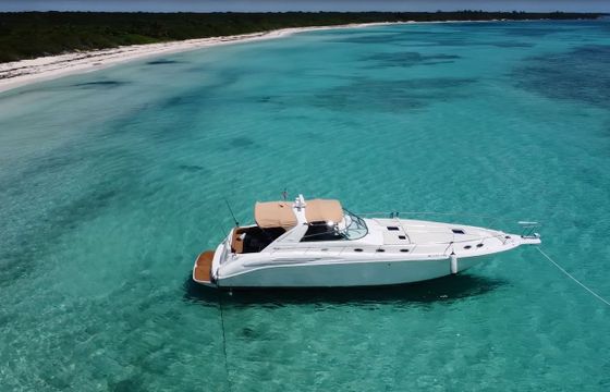Sea Ray SDX 45 Sundancer