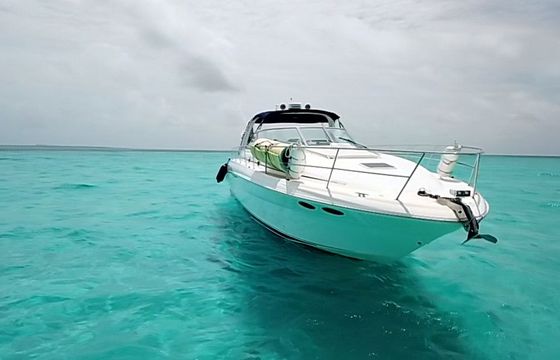 Sea Ray Sundancer