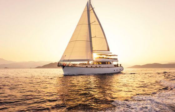 M/S 75