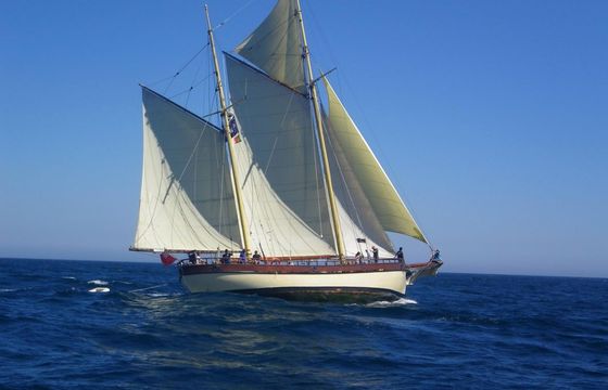 Traditional 79