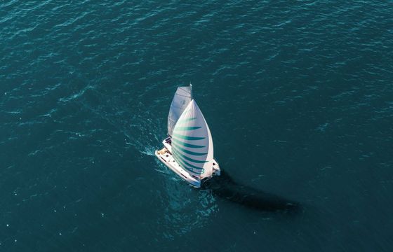 Lagoon 43