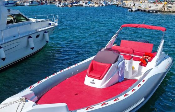 Master Gommone di 8 metri con moto300