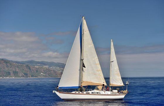 Bruce Roberts Mauritius 43