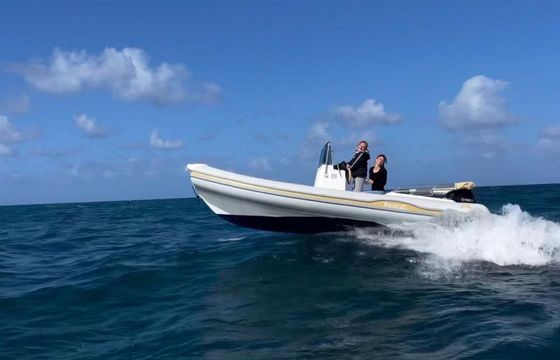 RIB AL100
