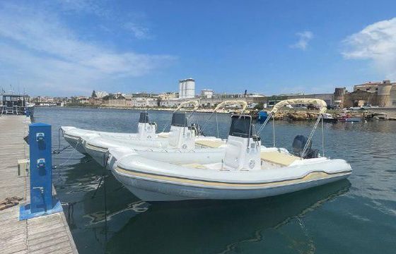 RIB AL100