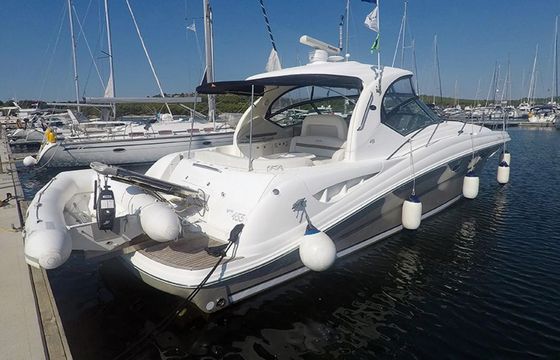 Sea Ray 455