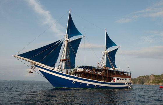 Traditional Wooden Schooner 110ft