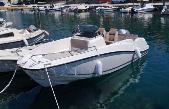 Quicksilver 555 Active Open