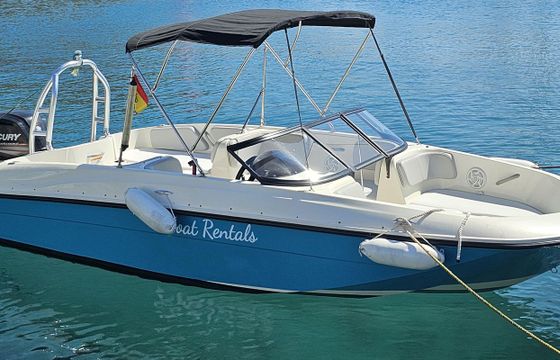 Bayliner E18