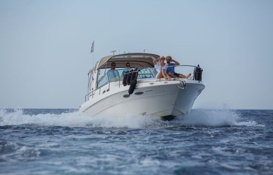 Sea Ray Sundancer 310