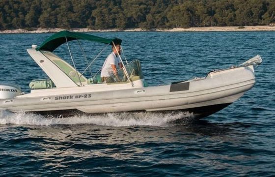 Grginic Shark 23
