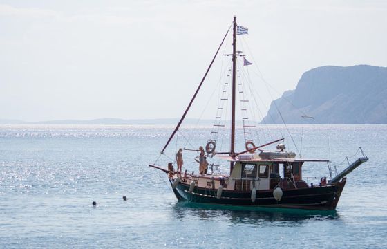 Traditional Daily Cruises