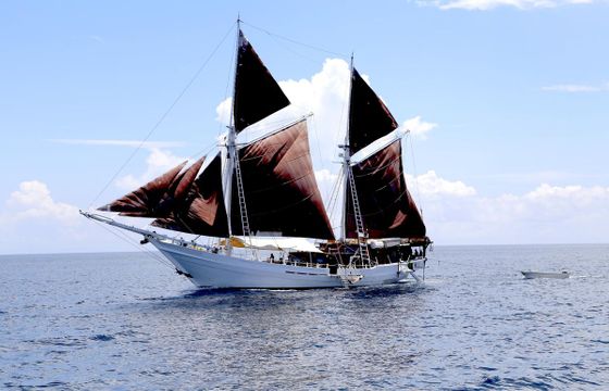 Phinisi Pinisi