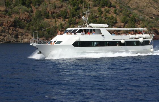 Cantiere Foschi Motonave