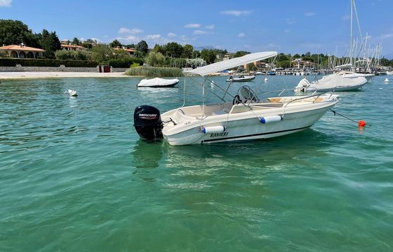 Ranieri Shark 17