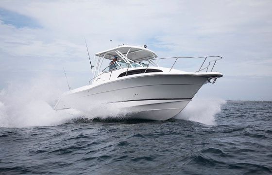 Stamas 37