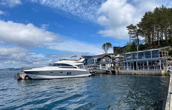 Princess 50'