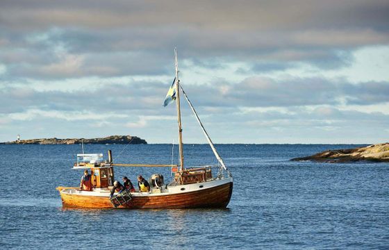 Malo Kungsviken 28 Fishingboat