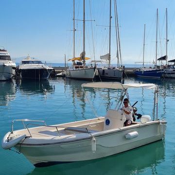Nireus 550