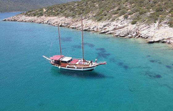 Gulet 56