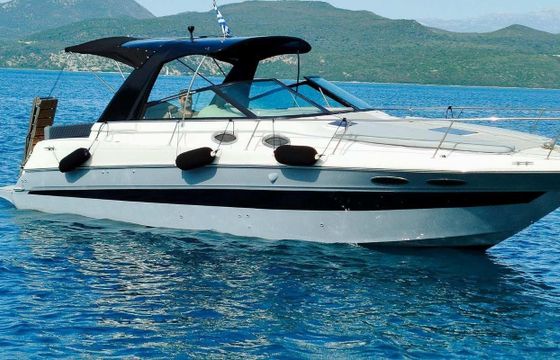 Sea Ray 290 sundanser