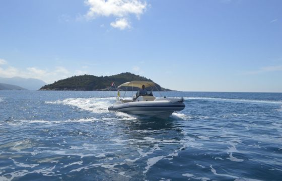 Marlin 23