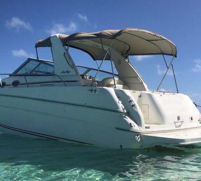 Sea Ray 290 SUNDANCER
