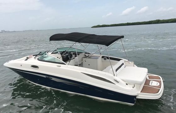 Sea Ray Sundeck