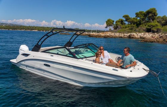 Sea Ray 250 SDX